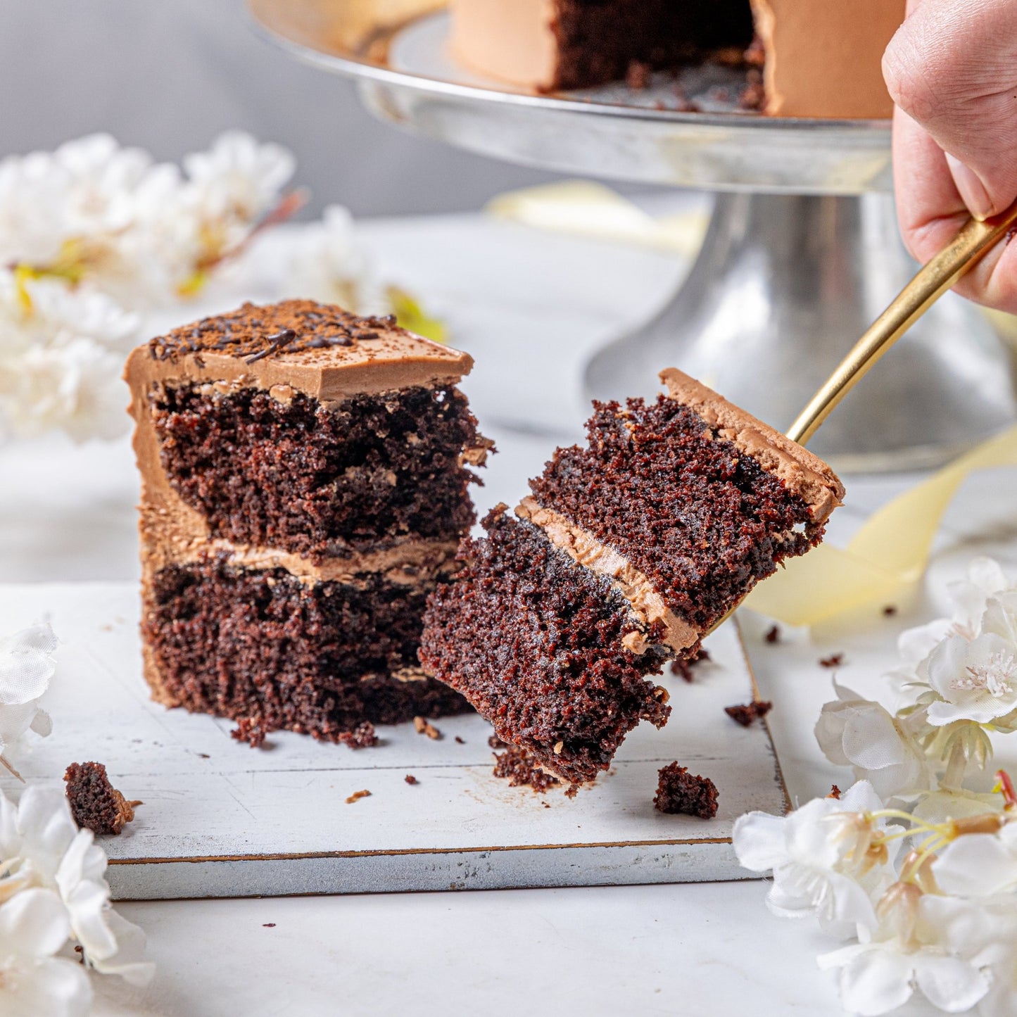 Double Chocolate Cake - Jack and Beyond