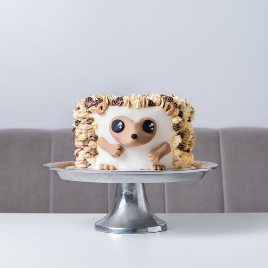 Happy Hedgehog Celebration Cake