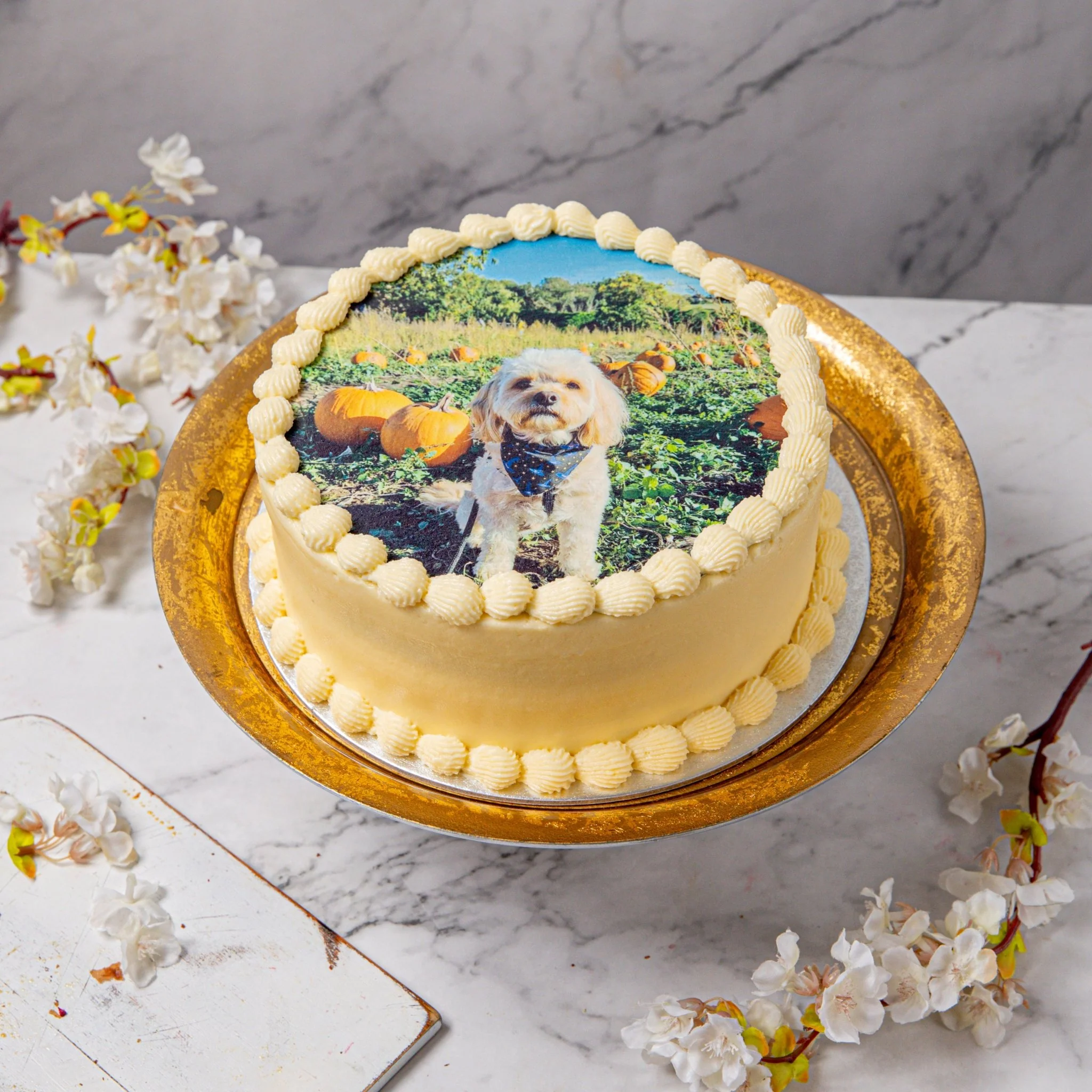 Personalised Edible Print Cake Questions & Answers