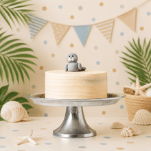 Animal Birthday Cake - 3D Seal Figure - Jack and Beyond