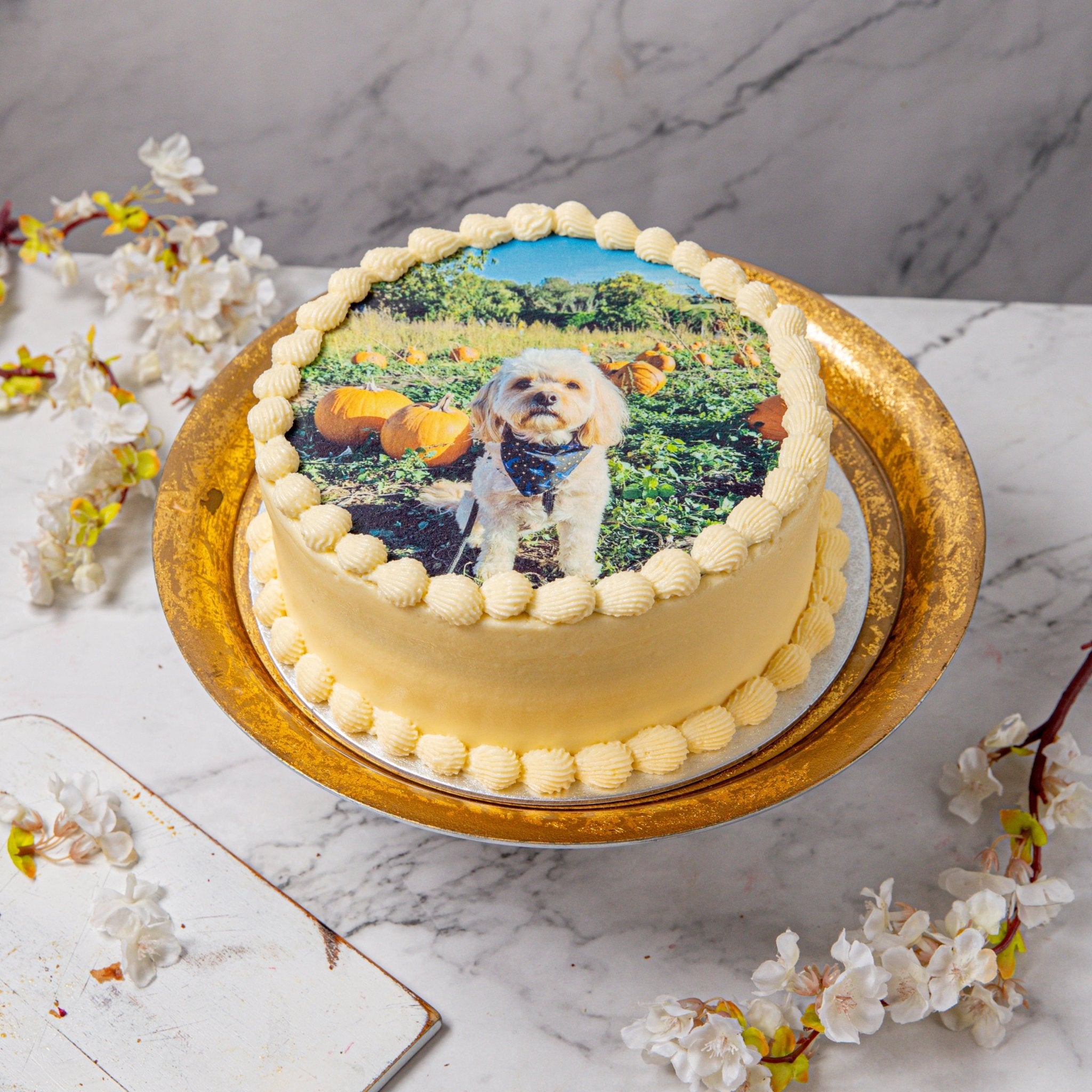 Edible dog cakes near me best sale