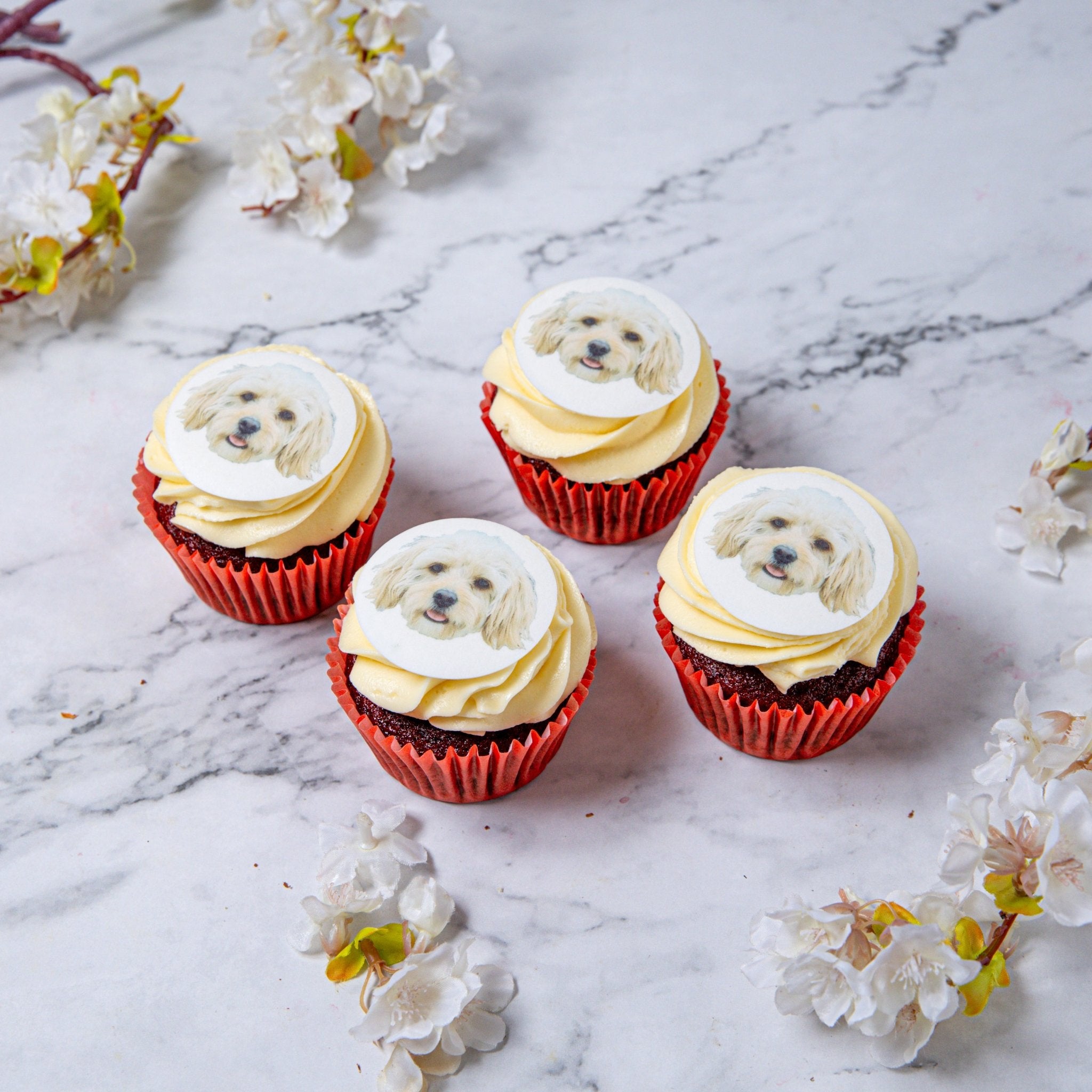 Personalised Edible Print Cupcakes - Jack and Beyond