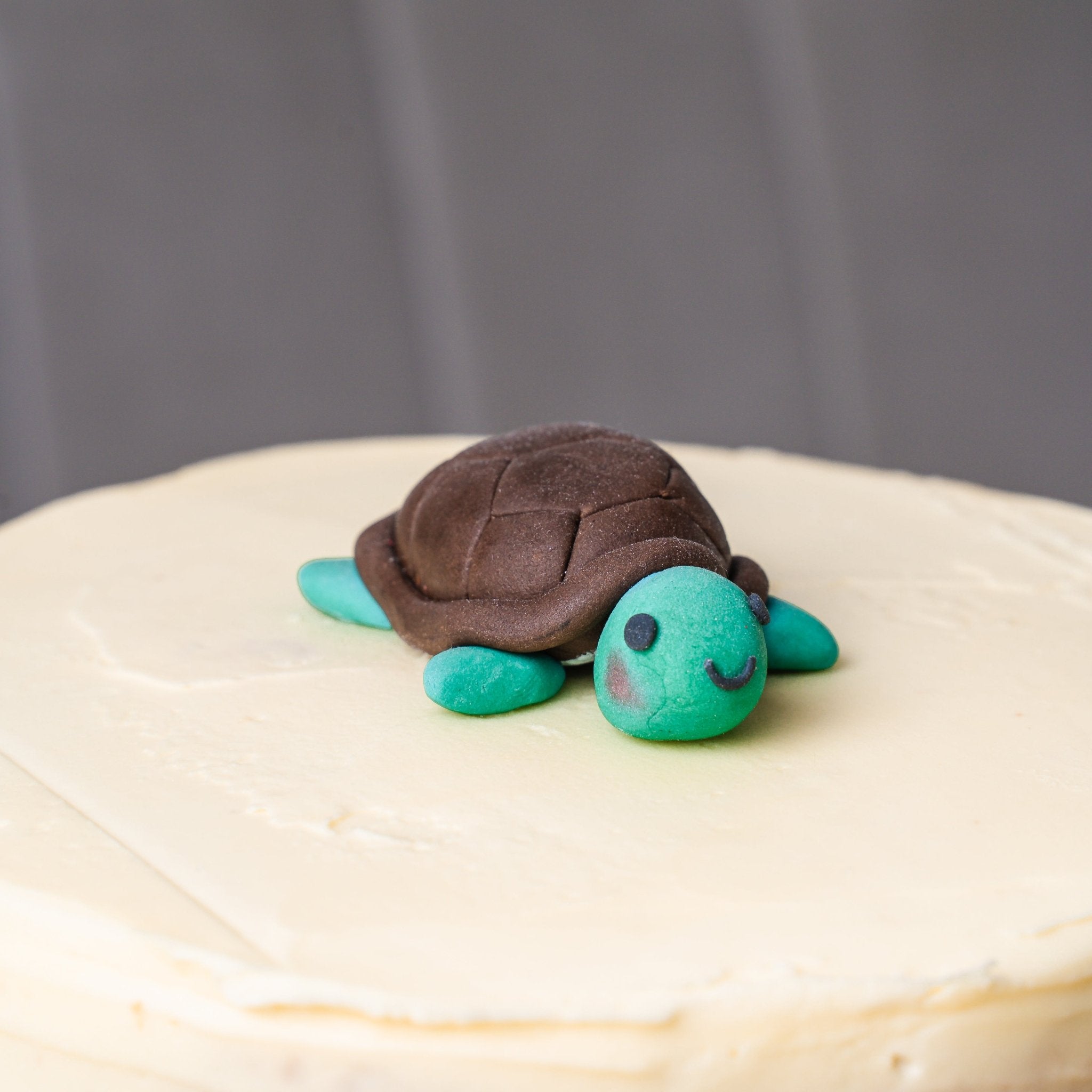 3D Animal Figure Cake - Turtle - Jack and Beyond