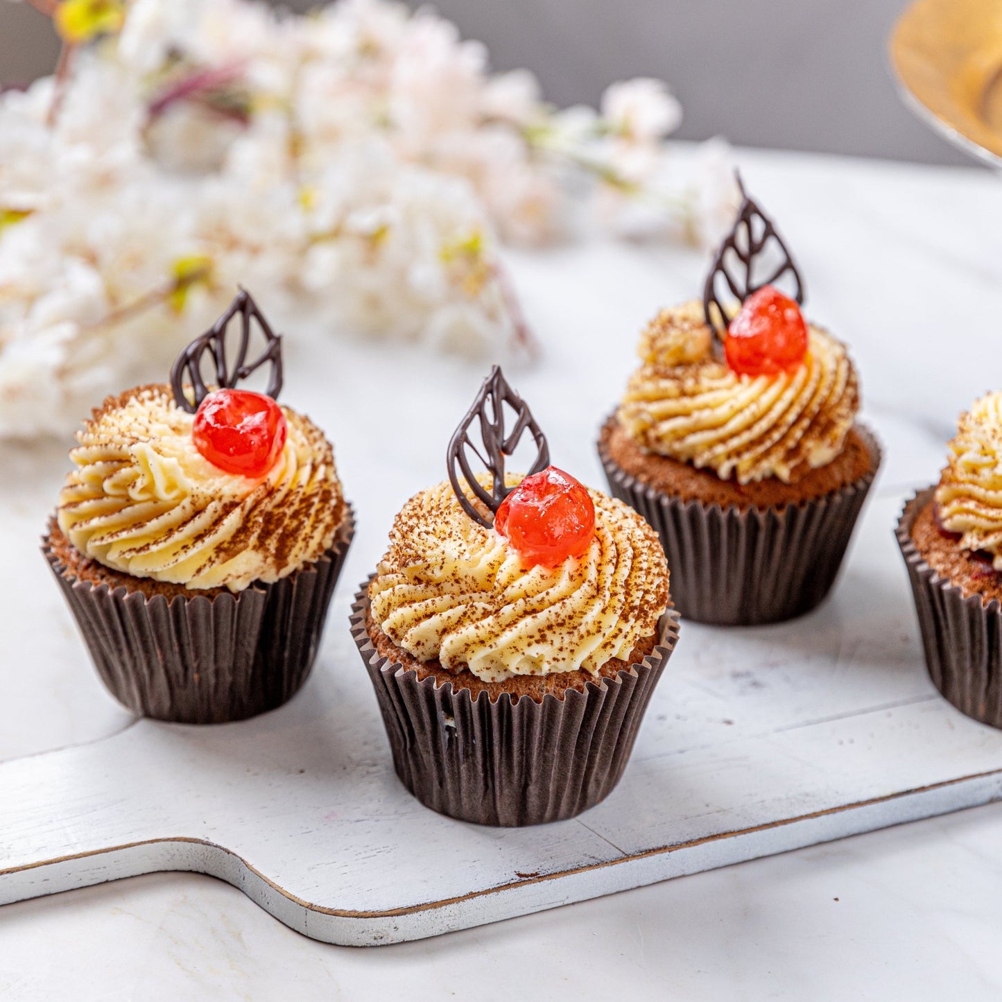 Black Forest Cupcakes - Jack and Beyond