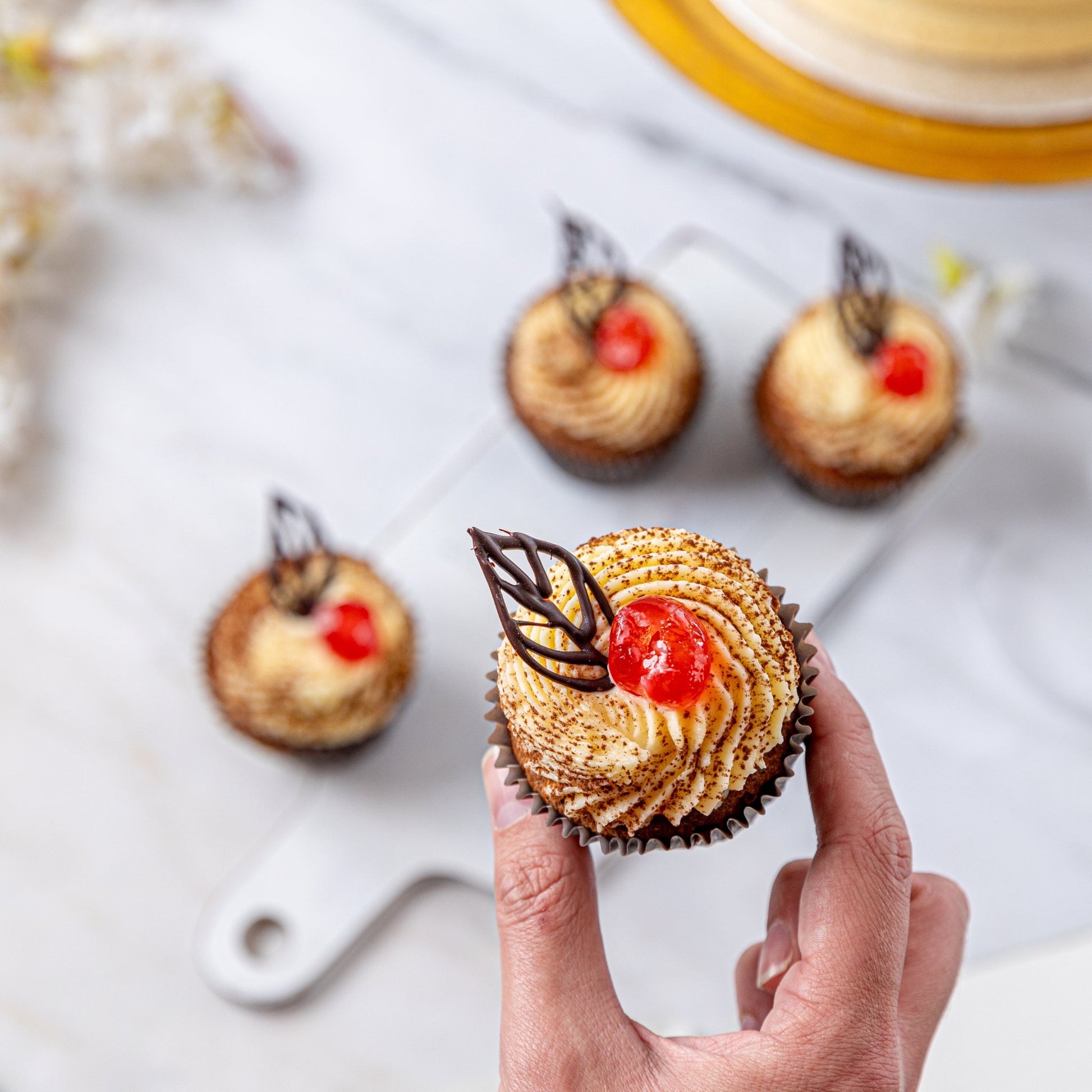 Black Forest Cupcakes - Jack and Beyond