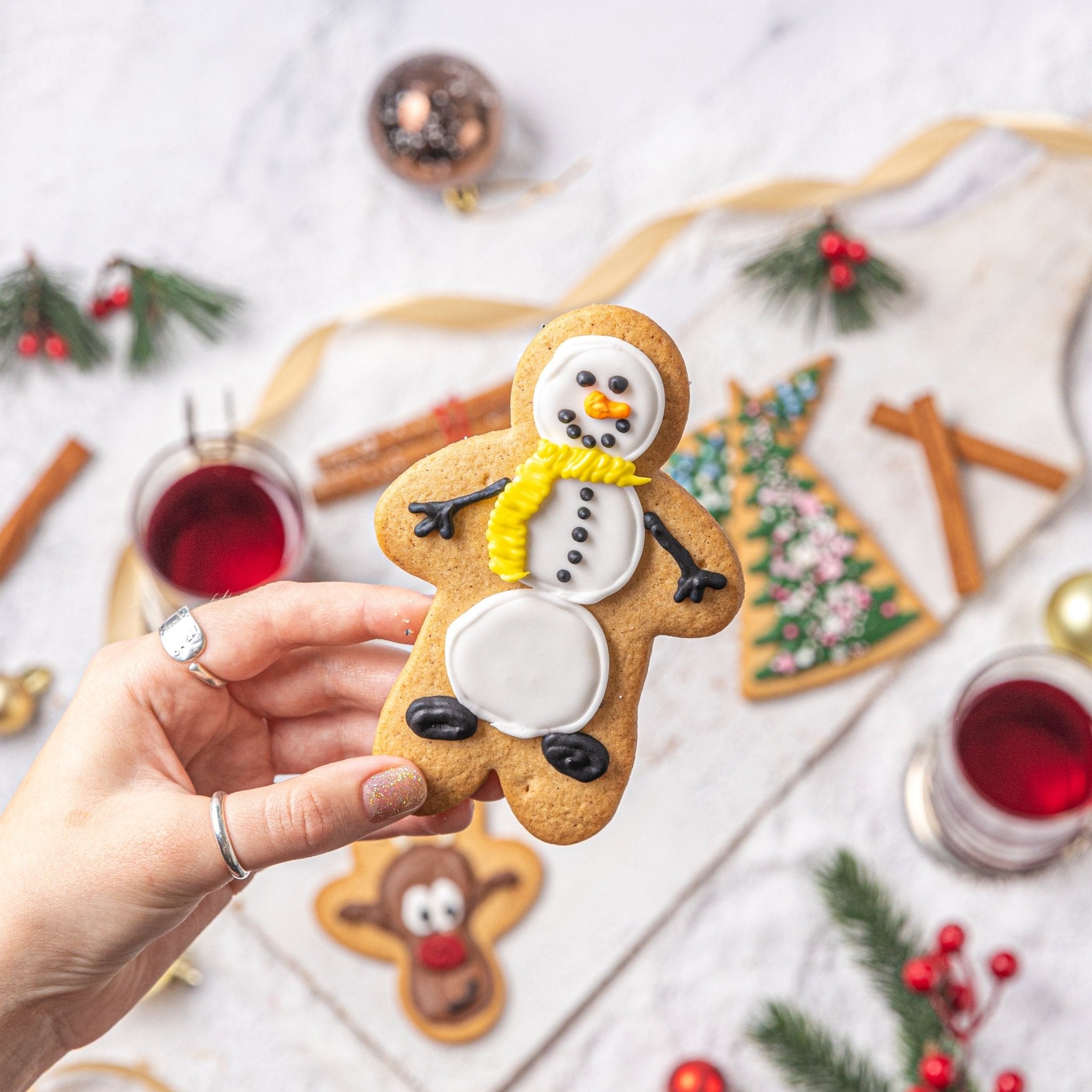 Christmas Gingerbread Cookies Set of 4 - Jack and Beyond