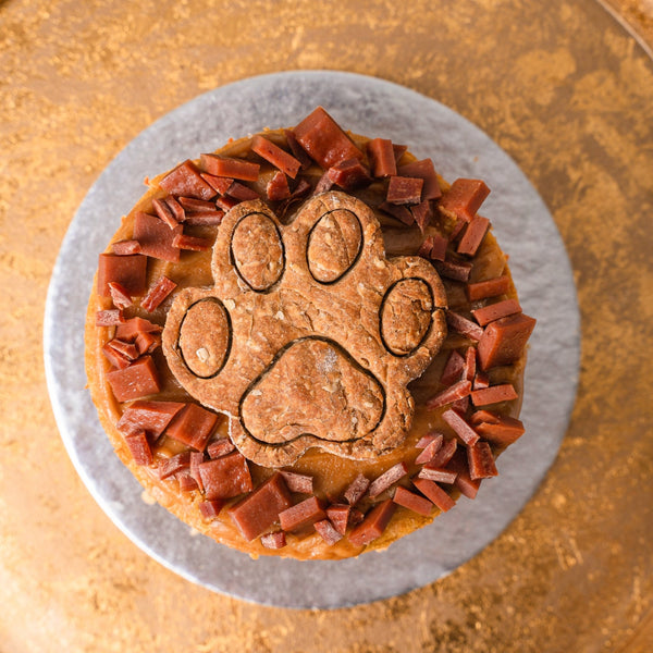 Dog Birthday Cake - Paw Cookie - Jack and Beyond