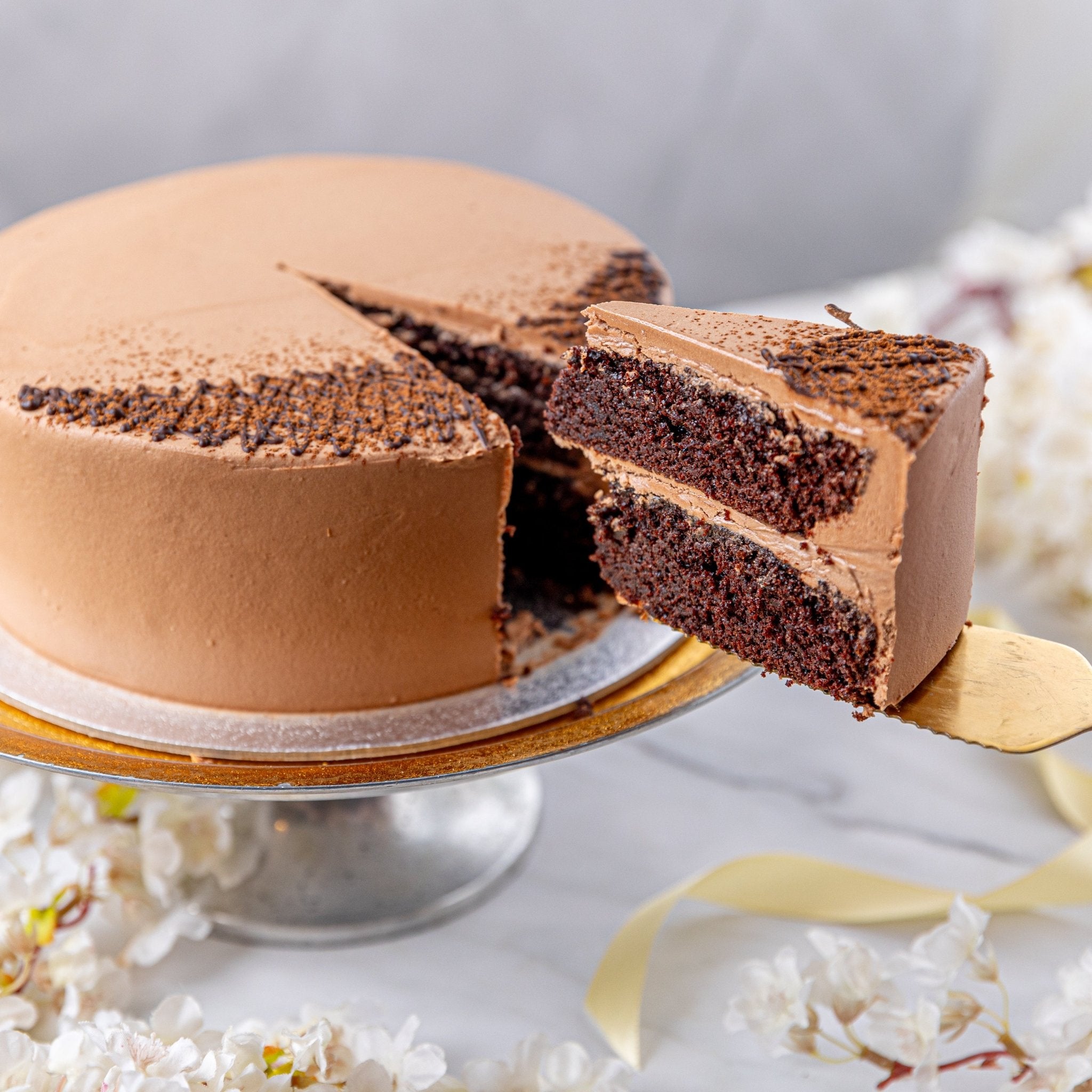 Double Chocolate Cake - Jack and Beyond