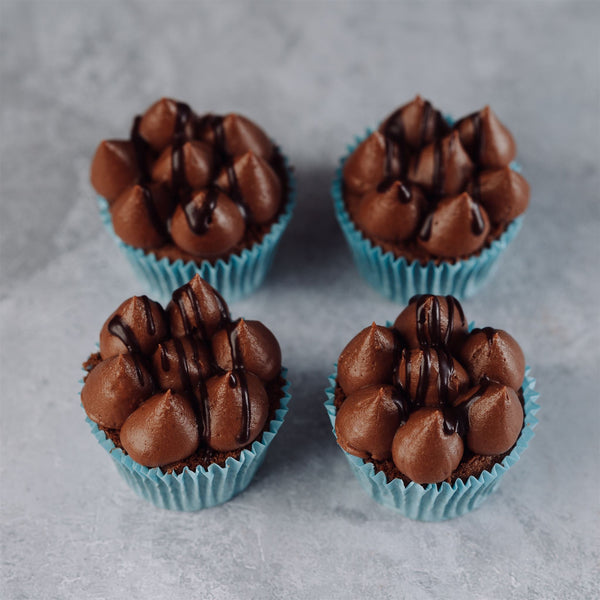 Double Chocolate Cupcakes - Jack and Beyond