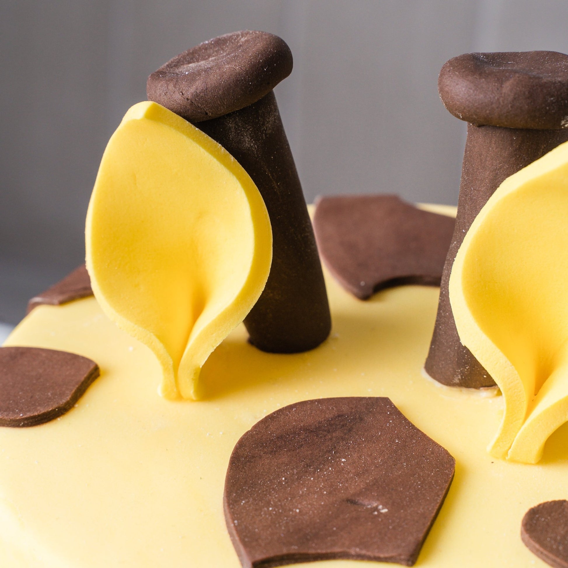 Gentle Giraffe Celebration Cake - Jack and Beyond