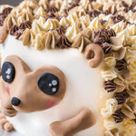 Happy Hedgehog Celebration Cake - Jack and Beyond