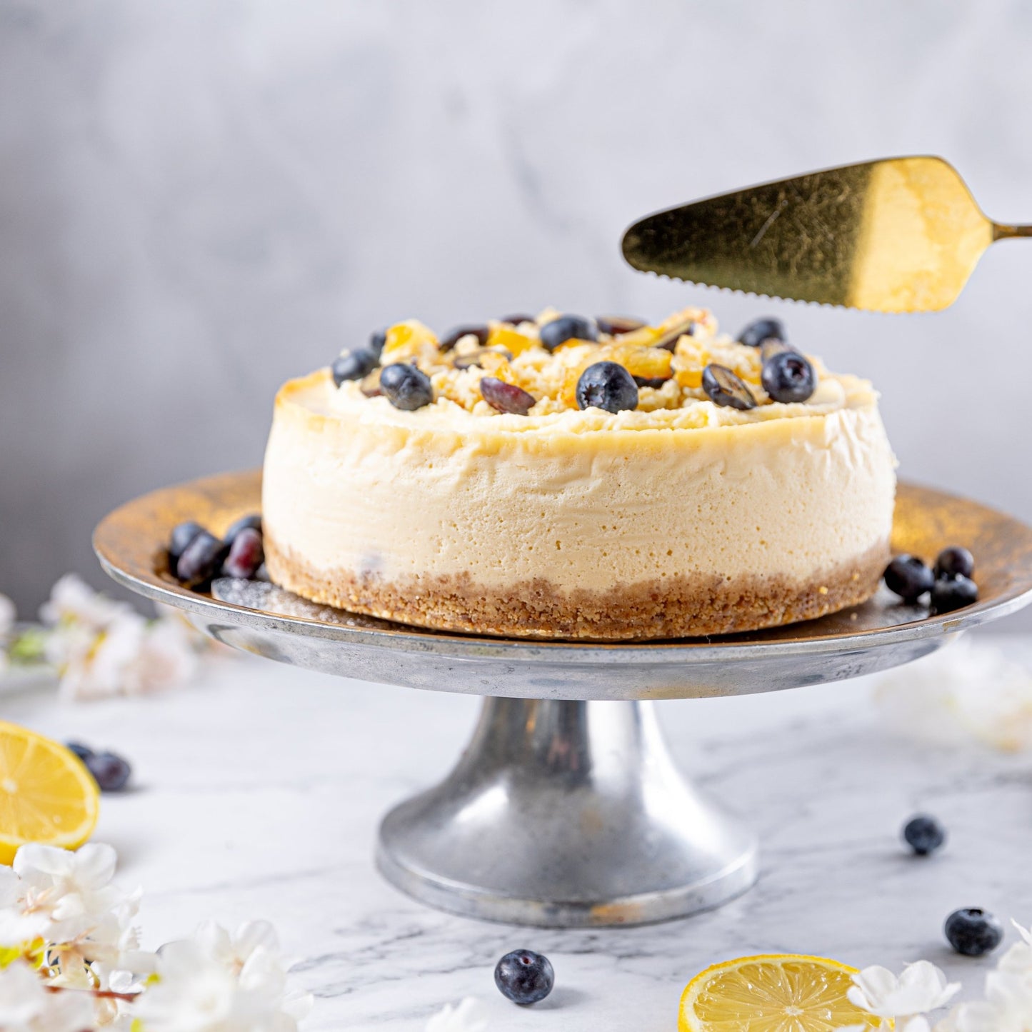 Lemon & Blueberry Cheesecake - Jack and Beyond