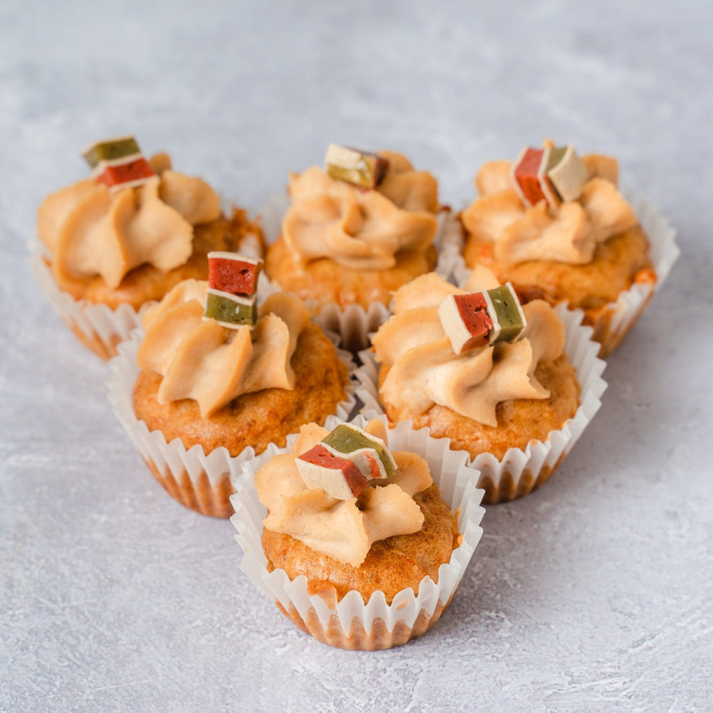 Mini Carrot Pupcake Box of 6 - Jack and Beyond