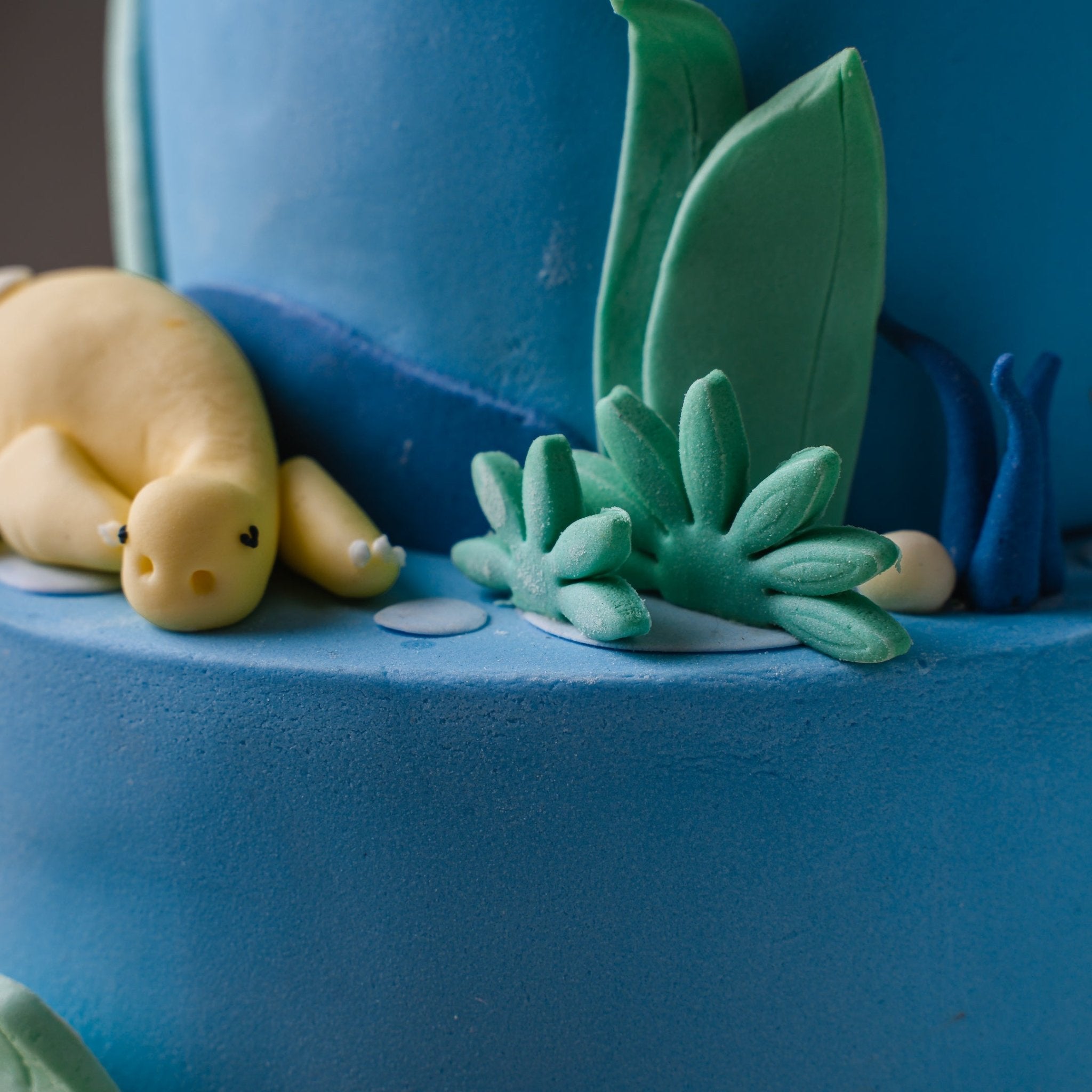 Marnie Searchwell gluten-free cakes, children's birthday cakes, childrens  party cakes. Doll cake, princess cake, dinosaur cake, unicorn cake,  construction cake. Handmade to order from the finest gluten free  ingredients. Dairy free children's