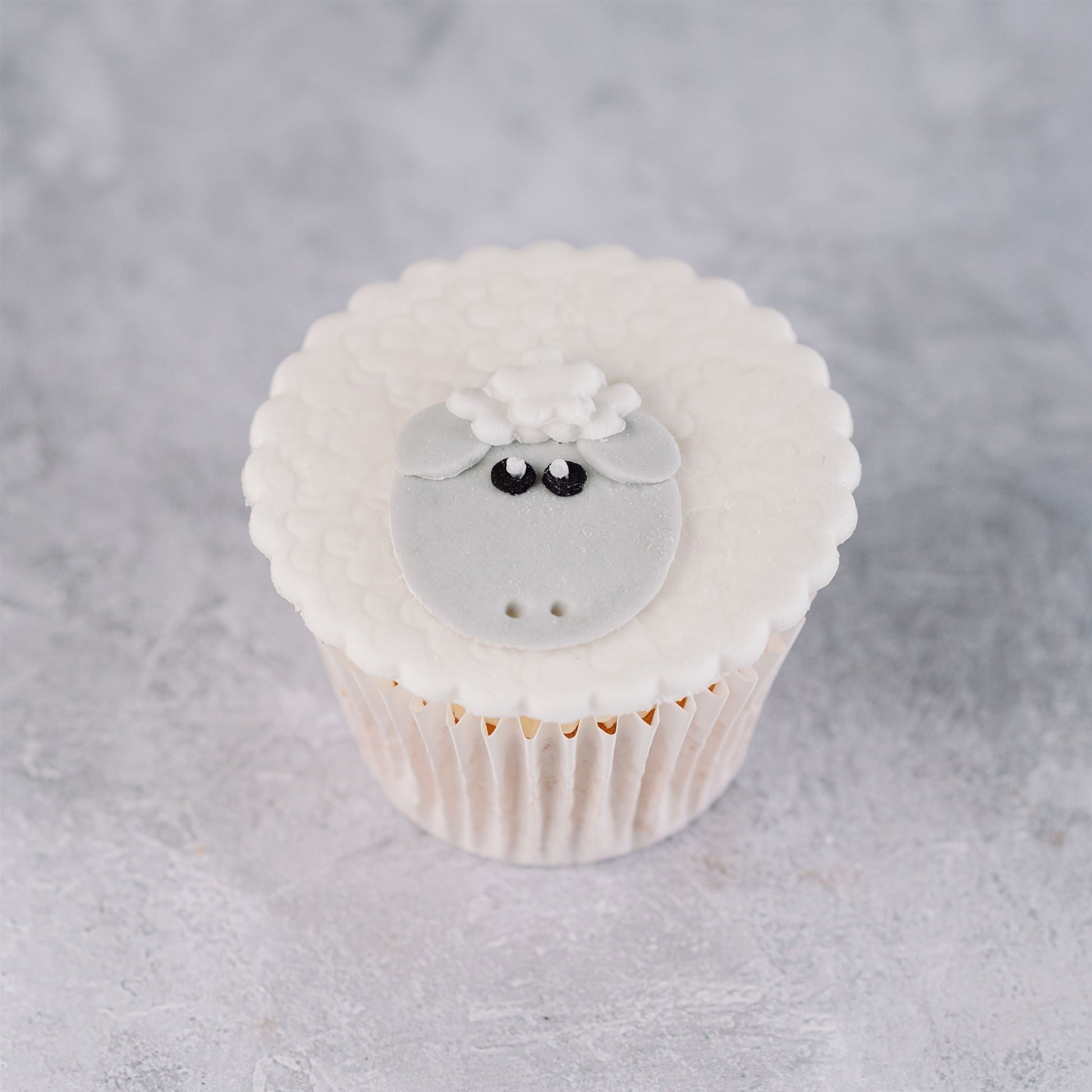 Sheep Cupcakes - Jack and Beyond