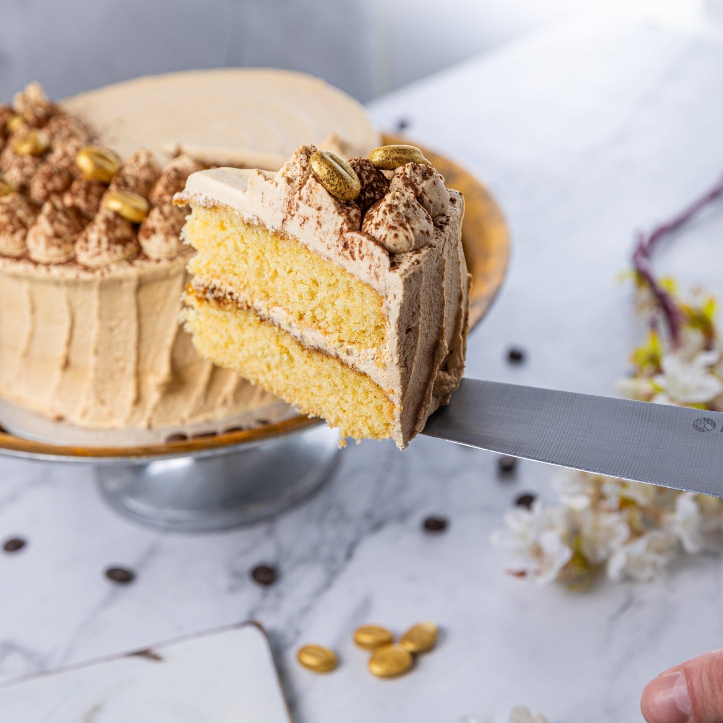 Tiramisu Layer Cake - Jack and Beyond